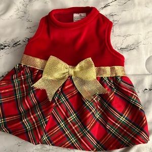 Pup crew size xs dog dress